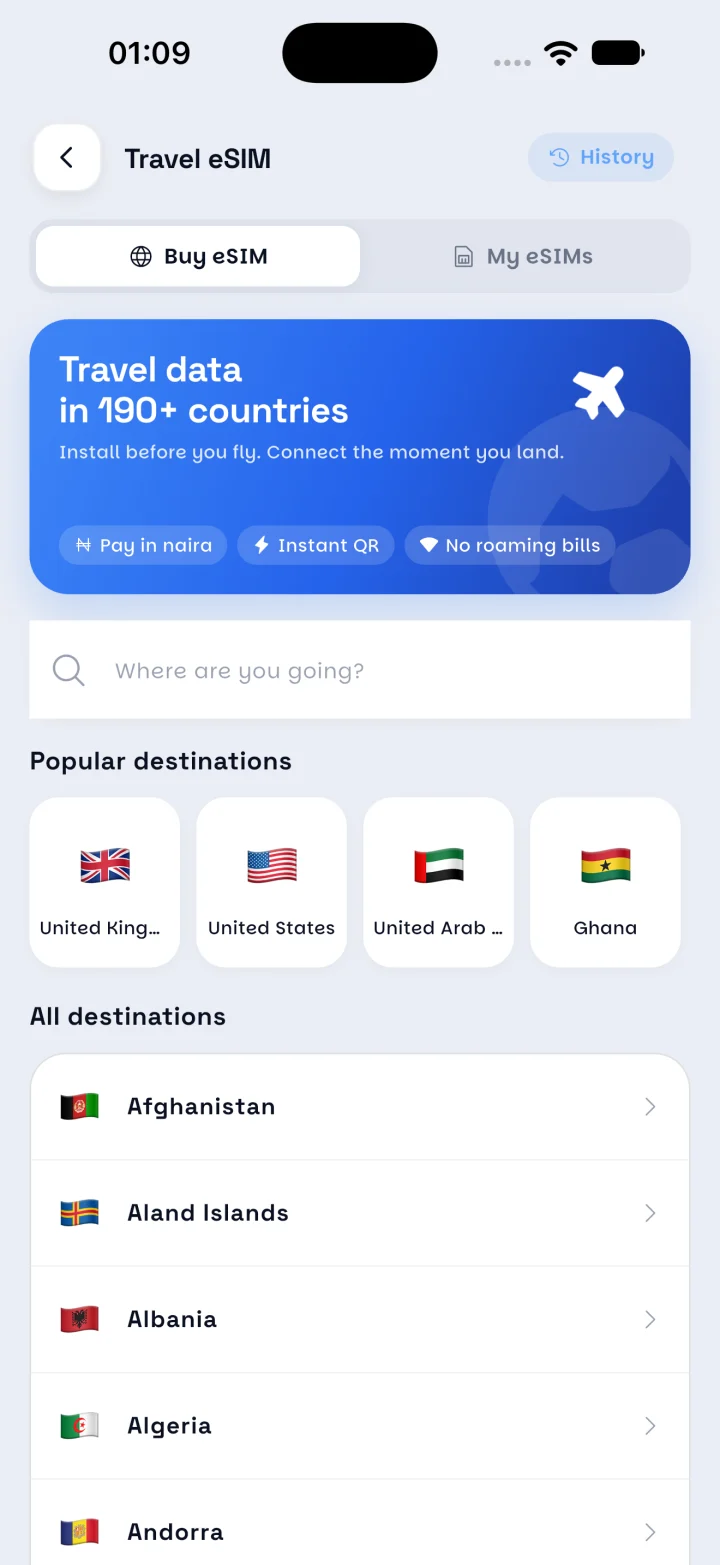 Travel eSIM screen