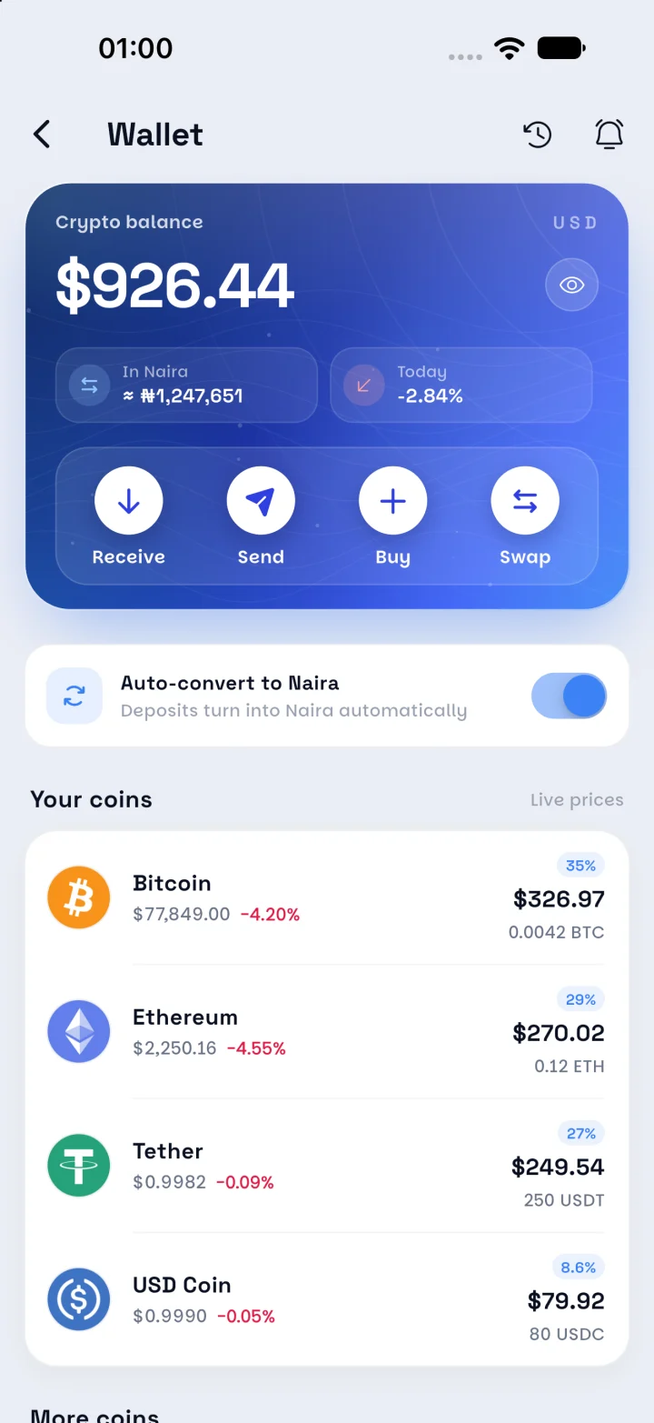 Crypto wallet with coins and auto-convert switch